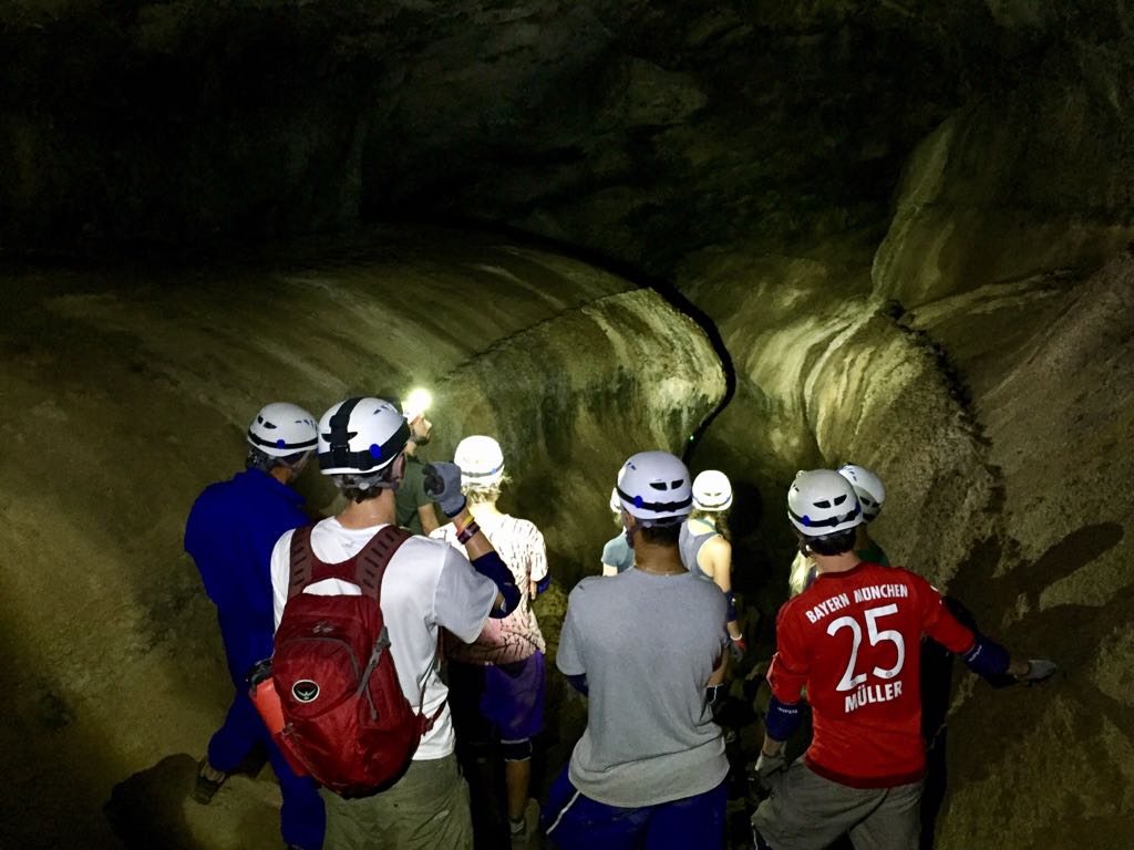 Madeline Calvert tweet media