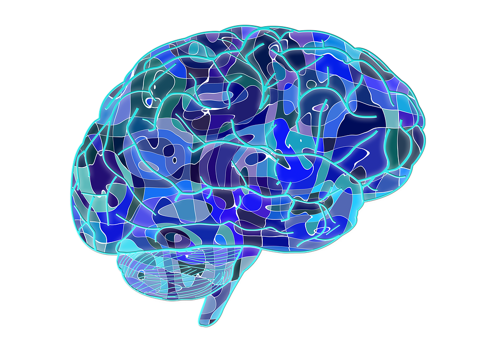 PartoftheMusic's tweet photo. Kids' brains develop faster when they decide to #bepartofthemusic. #boa2016
https://t.co/UFbscwIIS4 https://t.co/alE6bnovLv
