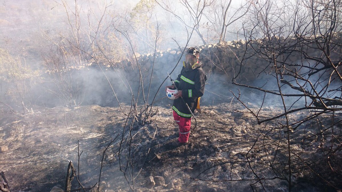 carmenchallapa's tweet photo. #deÚltimo: 22 bomberos de la @Pol_Boliviana y 30 comunarios de #Combuyo #Cochabamba lograron sofocar un nuevo incendio forestal. https://t.co/5p0YwigEKv