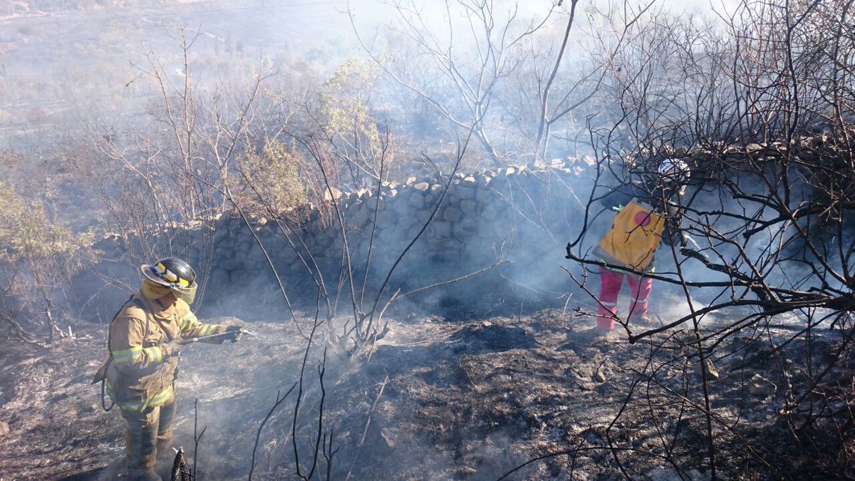 carmenchallapa's tweet photo. #deÚltimo: 22 bomberos de la @Pol_Boliviana y 30 comunarios de #Combuyo #Cochabamba lograron sofocar un nuevo incendio forestal. https://t.co/5p0YwigEKv
