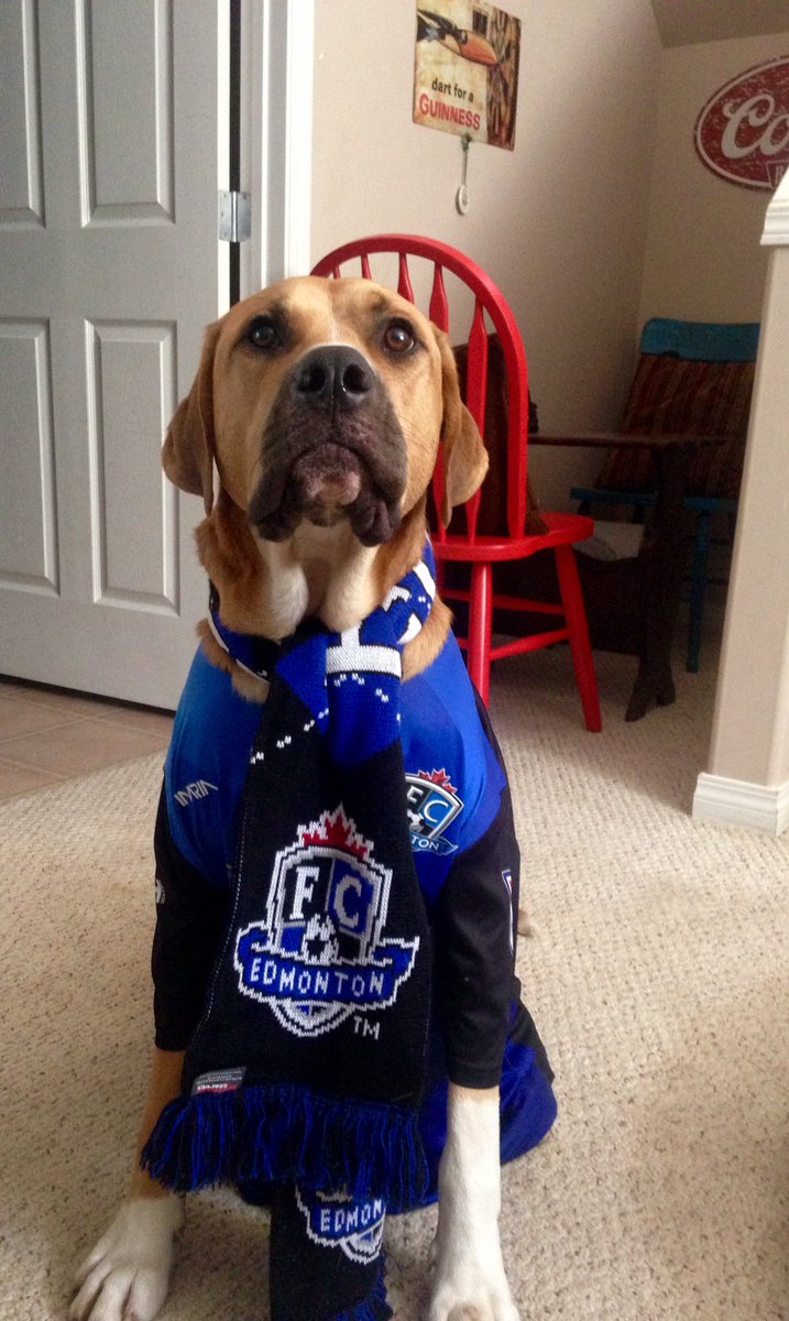 Crusherofpints's tweet photo. @FCEdmontonNow #FCEd Ready to crush Puerto Rico https://t.co/MLIqDPzrgK