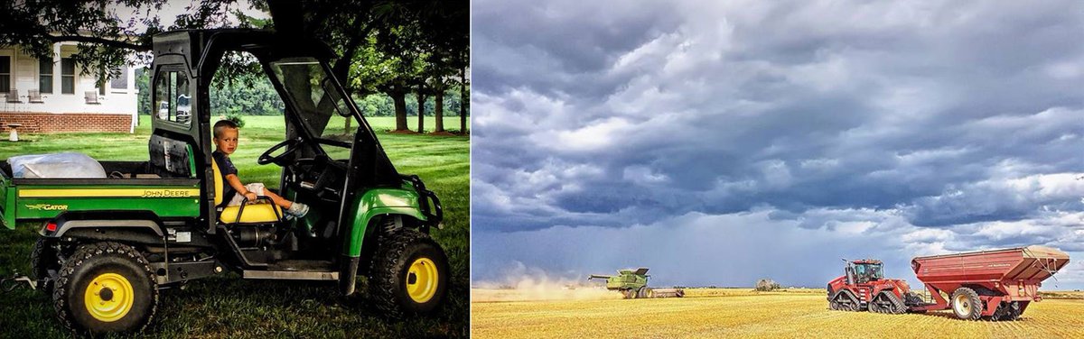 hscherefords's tweet photo. Ag on Instagram: The best farm photos from Aug. 14 | AGDAILY https://t.co/WlcNr9stF6 https://t.co/py4sCRW5uf