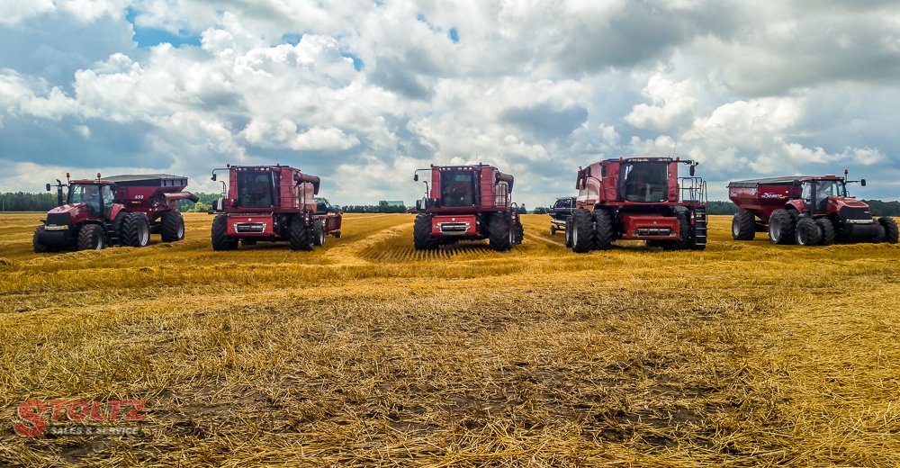 EquipmentOnt's tweet photo. @Case_IH All Lined up and Ready to Roll.
#StoltzCustomerPhoto #harvest17 #wheat https://t.co/pjuwQkvEpq