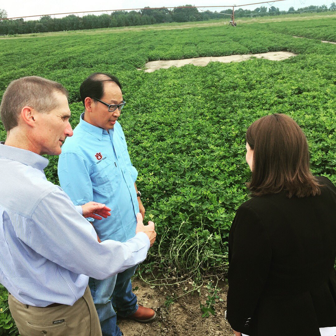 AuburnAg's tweet photo. Thank you to @RepMarthaRoby for your visit to the Wiregrass Research and Extension Center this afternoon! https://t.co/jswf9RfuwV