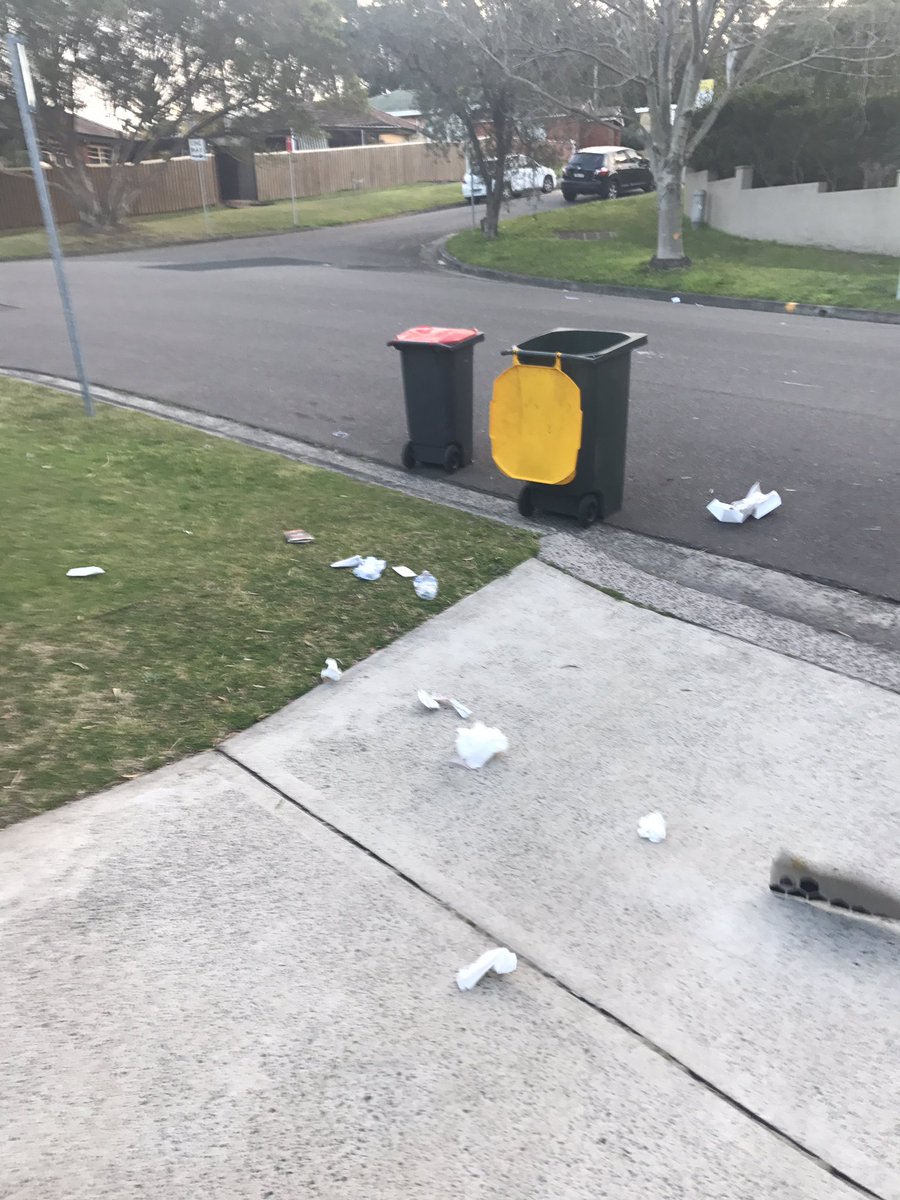NIKSTARPR's tweet image. Isn't waste services about collecting it not making more. Weekly occurance outside our house. #keepaustraliaclean @Georges_River #disgrace