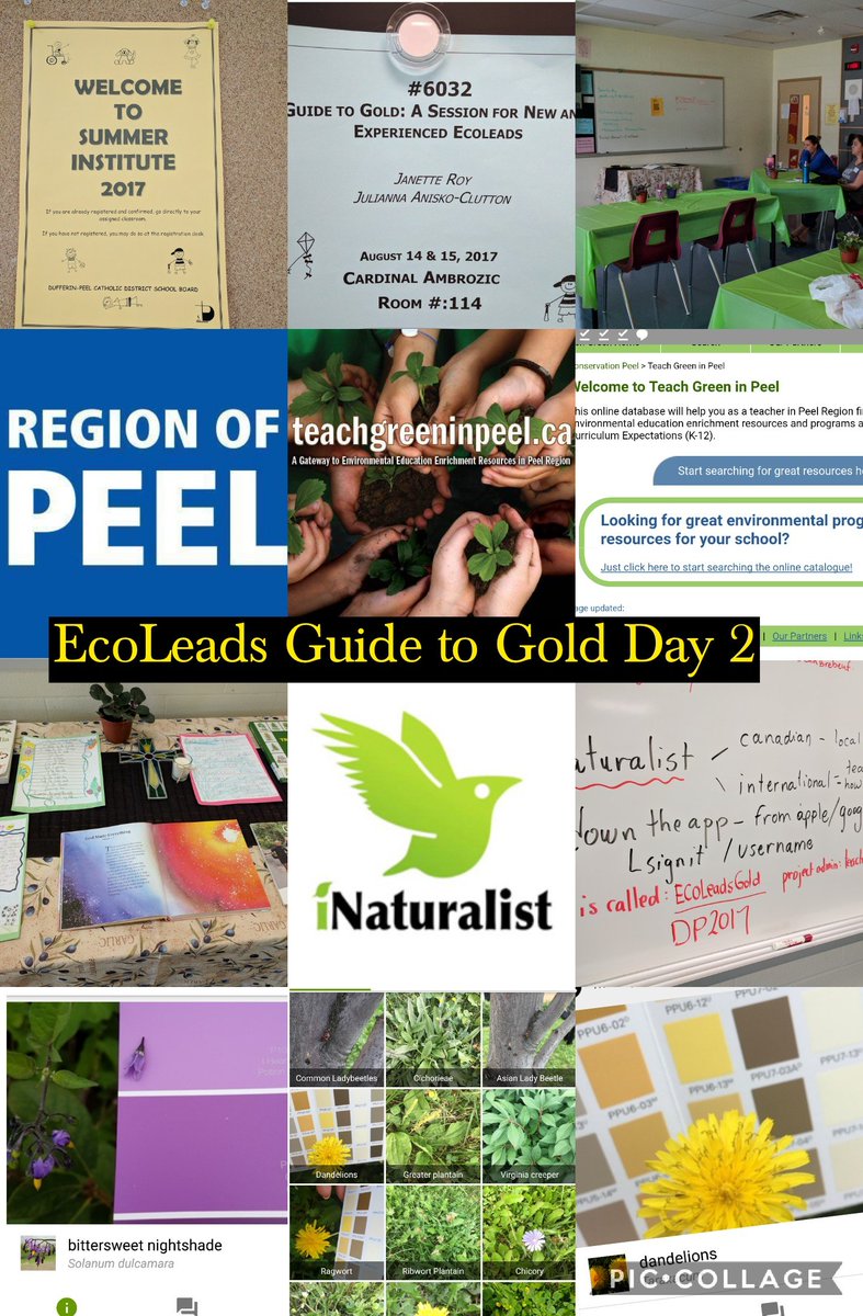 MsAniskoClutton's tweet photo. Great day exchanging resources and ideas with DP Ecoleads! Thank you Alicija P. @regionofpeel https://t.co/QohIqM5DaV @janette_roy #dpsi2017 https://t.co/ybWLUOgqPs