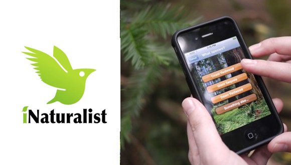 MsAniskoClutton's tweet photo. Introduced fascinating @inaturalist app to our DPCDSB Ecoleads at today's #dpsi2017 & nature-colour match activity #teachersarestudentstoo https://t.co/wcbqb2EAeO