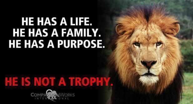 🐘🐘🐘🐘🐘🐘🐘🐘

&amp;

🦁🦁🦁🦁🦁🦁🦁🦁

ARE NOT

🏆🏆🏆🏆🏆🏆🏆🏆

HELP #BanTrophyHunting: buff.ly/2iTuWTQ