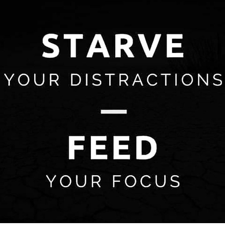 IvyRootsMusic's tweet photo. #IvyMusic
#focus #destiny #purpose #loveartgrowth #quotes #growth #originalinspiration #creative #IvyMusiq #creativity #LiveRawOrganic https://t.co/igSwDzhsPu