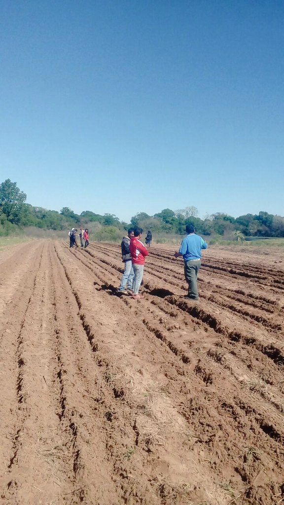 AF_INTA_CTES's tweet photo. Plantación mecanizada d #mandioca #PE @prohuerta Pje S Antonio. Evaluamos c alumnos d #EFA Ñande Roga #PReTHN https://t.co/bh93Aphb5Z