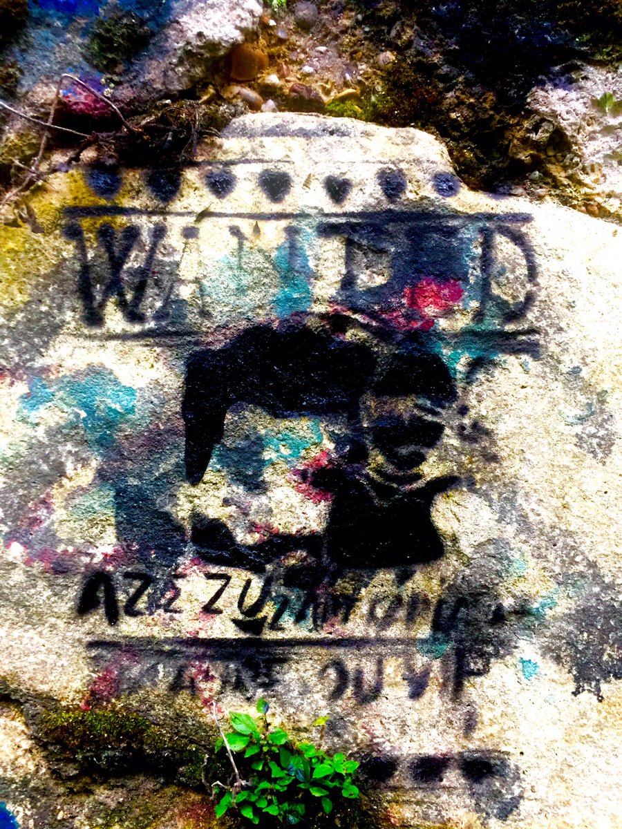 Azezu_Official's tweet photo. "Wanted 2" by #azezu
Sur la Petite Ceinture Paris 14
.
.
.
#streetart #streetartist#graffiti #art #artist #paris14 #street #wanted https://t.co/pkZypwtPEQ