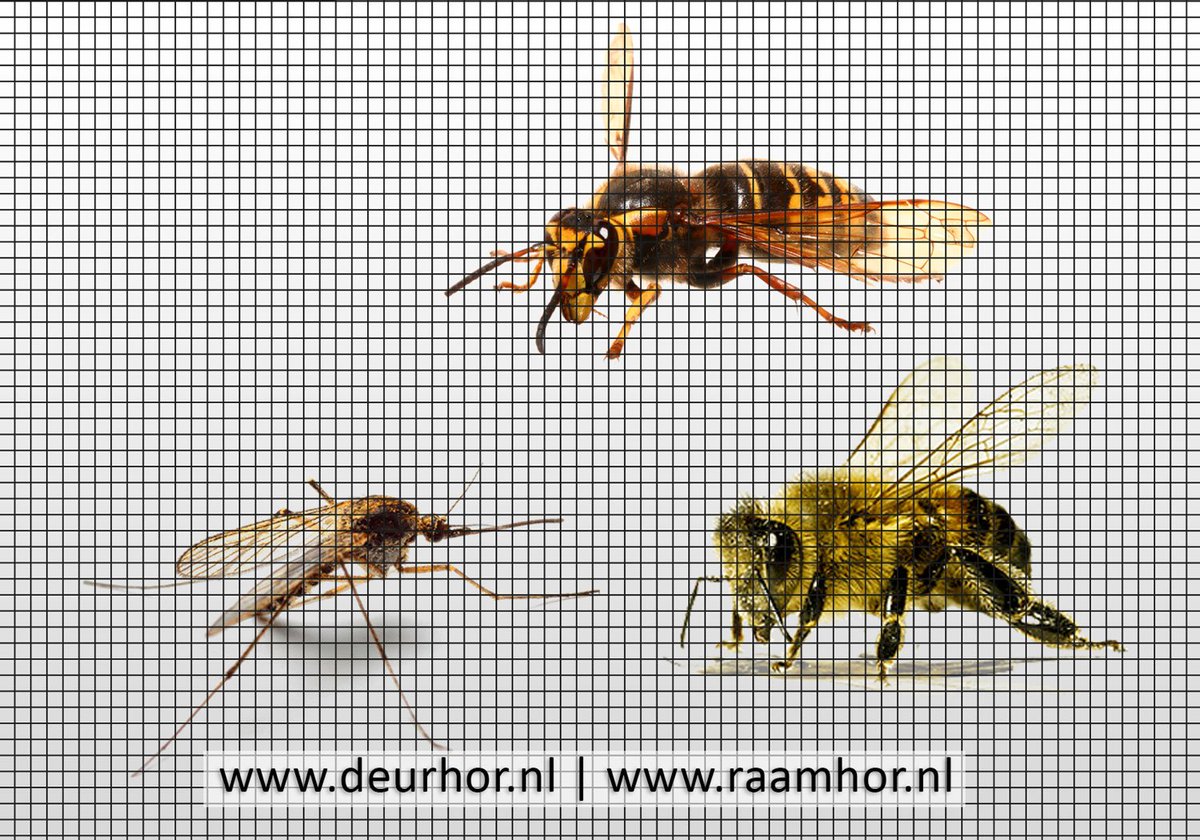 protectsun's tweet photo. Geen #zika #muggen en #zikamug steken, wie wil dit ook, ga naar https://t.co/YlI1uQYuiL https://t.co/VKg0uzLnrM
