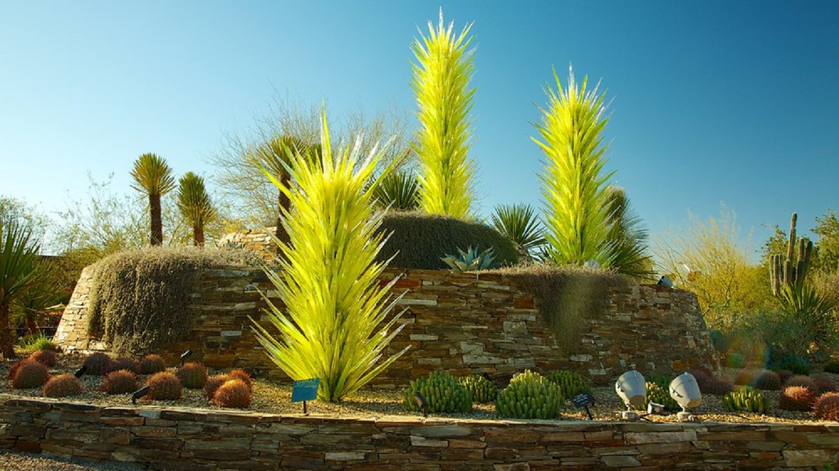 NesreenZ's tweet photo. #NatureRT @HoganSOG: Colors galore to dazzle the mind at the Desert Botanical Garden in Arizona https://t.co/EjP6X36jhT