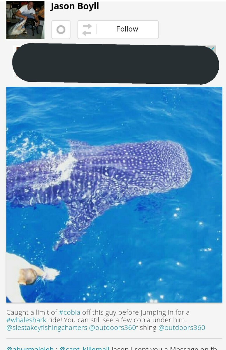 DREandVICKI's tweet photo. @WhySharksMatter "...giving each other tips on how to get away with it."
& they do
.@myfwc .@USFWS
#sharks
#SiestaKey #Florida
#BurnsEsterling #JasonBoyll https://t.co/nG6u0FwQvD