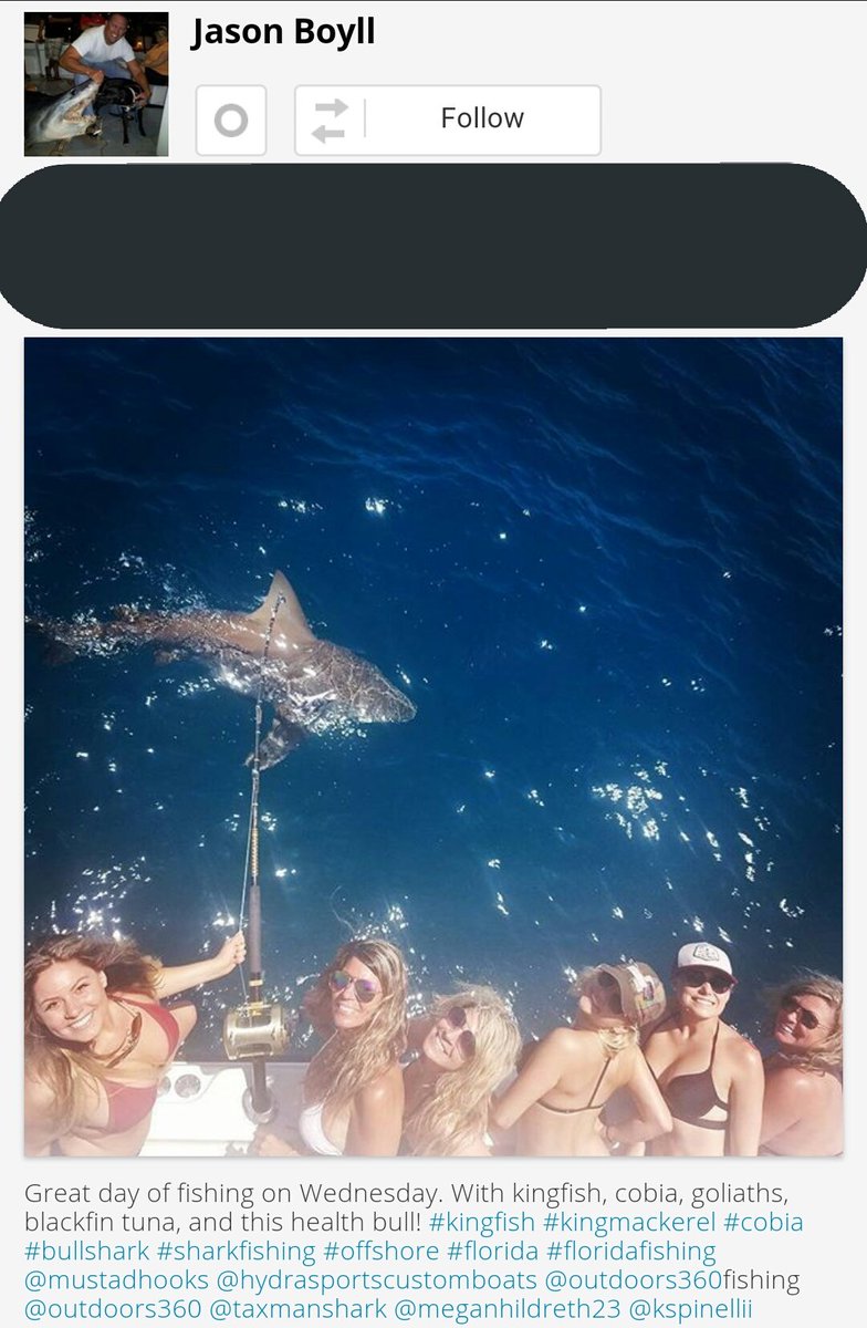 DREandVICKI's tweet photo. @WhySharksMatter "...giving each other tips on how to get away with it."
& they do
.@myfwc .@USFWS
#sharks
#SiestaKey #Florida
#BurnsEsterling #JasonBoyll https://t.co/nG6u0FwQvD