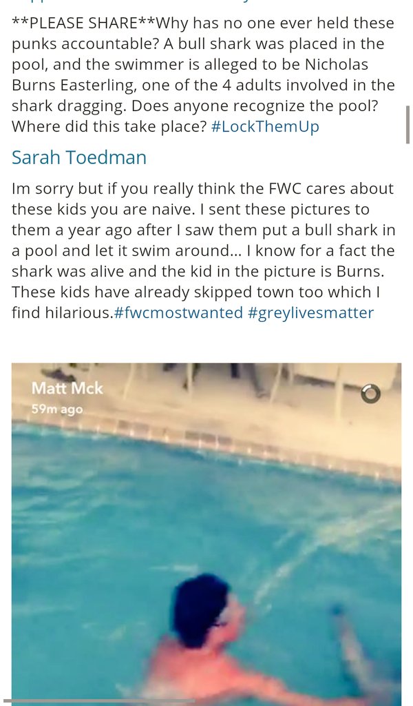 DREandVICKI's tweet photo. @WhySharksMatter "...giving each other tips on how to get away with it."
& they do
.@myfwc .@USFWS
#sharks
#SiestaKey #Florida
#BurnsEsterling #JasonBoyll https://t.co/nG6u0FwQvD