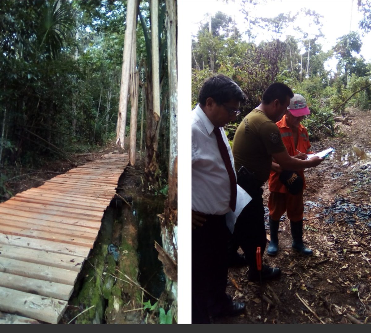 AmbientalAlerta's tweet photo. #MadreDeDios Febrero de este año: se denunció #TalaIlegal en concesión forestal. Pasados 6 meses la denuncia va así https://t.co/Mks82sikbp https://t.co/jlWJwpK4kH