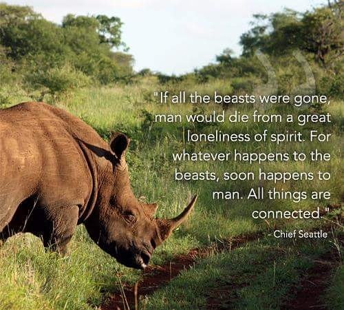 CSSDelivers's tweet photo. Together we can make a difference.
Join us and @KP24 to #SaveTheRhino #BattingForRhinos
https://t.co/6ZKNHw2TEZ.
#CSSdata #CSS_cares https://t.co/PuC4CkYVgH