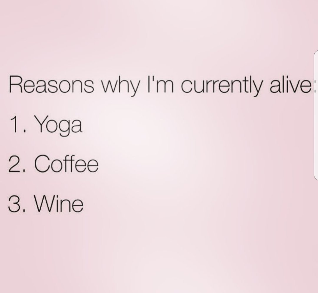 alawine tweet media