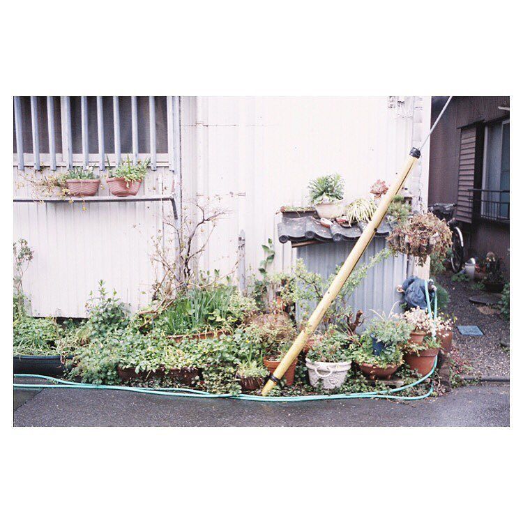 HisaFoto's tweet photo. 「丸子リバサイド」
.
.
.
#agfa #optimaparat #solinar #halfframe #ハーフカメラ #フィルム写真 #kawasaki #tokyo #reco_ig #hueart_life #igm… https://t.co/0G2BLnNeZn https://t.co/mL763rqbTR