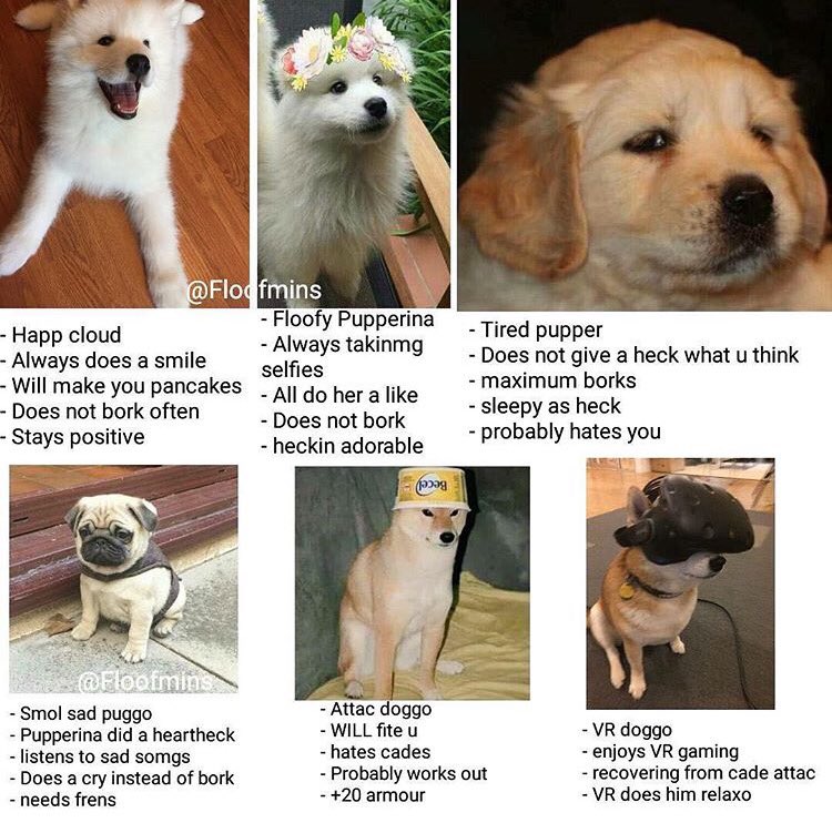 Just_Ken_Things's tweet photo. I am tired pupper. Which one r u¿? https://t.co/hb30byjmyP