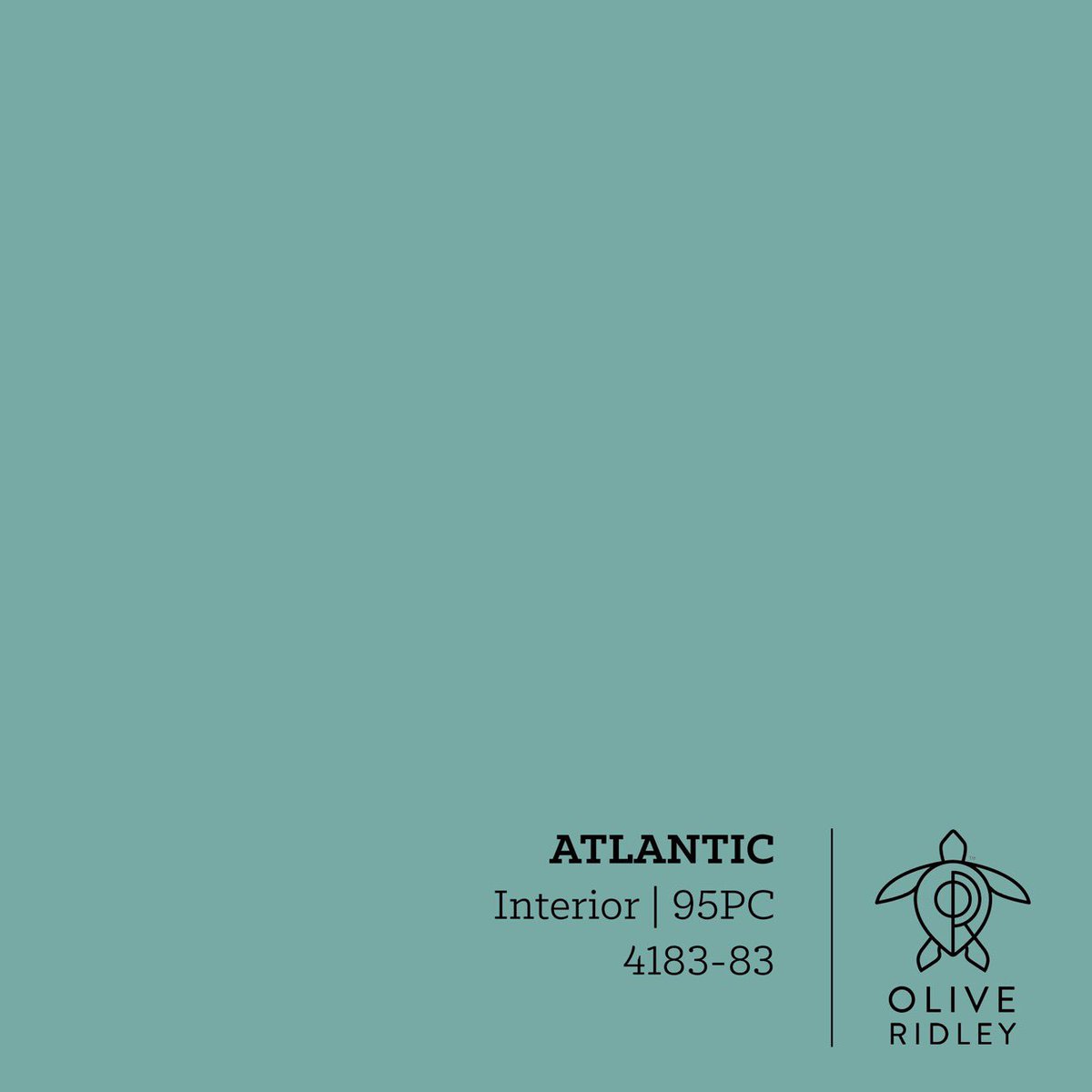 OliveRidleyRCP's tweet photo. Meet Atlantic. #interiordesign #sustainability #paint #oliveridleypaint https://t.co/a7z58LYBFZ