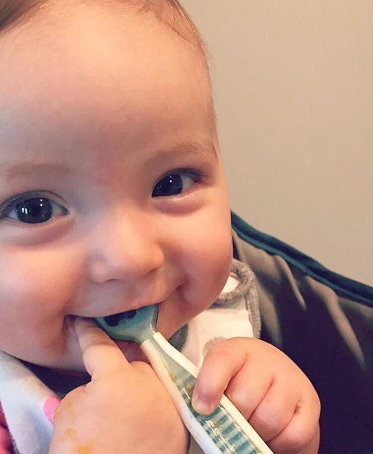 NumNumInc's tweet photo. "Mabry loves her GOOtensil!" We ❤️ that's she ❤️s it 🙃 Welcome to the #NumNumRevolution , Mabry! #StartSmart #prespoonFirst  #parentingtips https://t.co/C6t67wqOsR