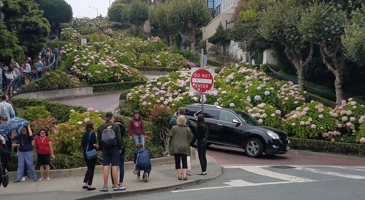 Todd_Trafalgar's tweet photo. #LombardStreet is one of two #SanFrancisco contenders for world's most crooked street. #WesternDiscoverer #SimplyTrafalgar @TrafalgarTalk https://t.co/su8R6D8zxY