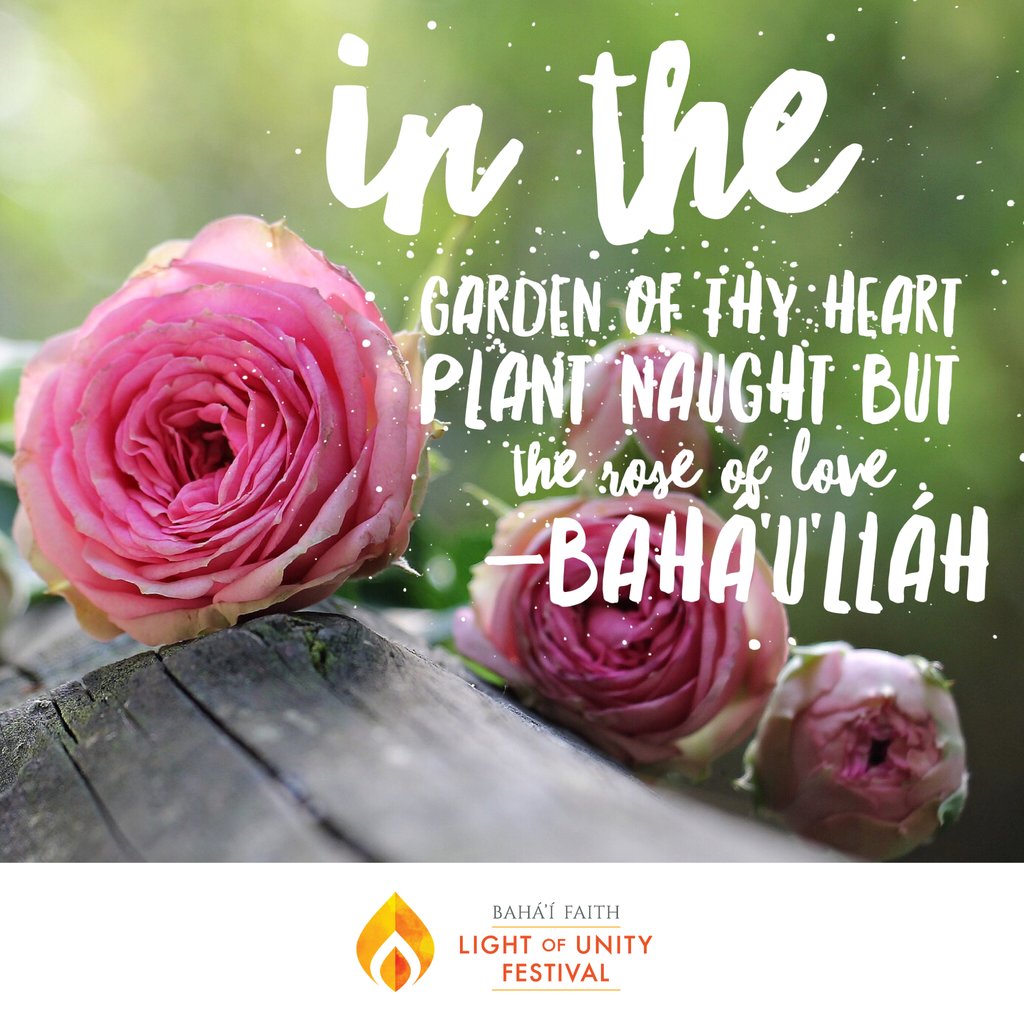 BahaiUS's tweet photo. In the garden of thy heart plant naught but the rose of love. Bahá'u'lláh. https://t.co/m9lvaHc6pK