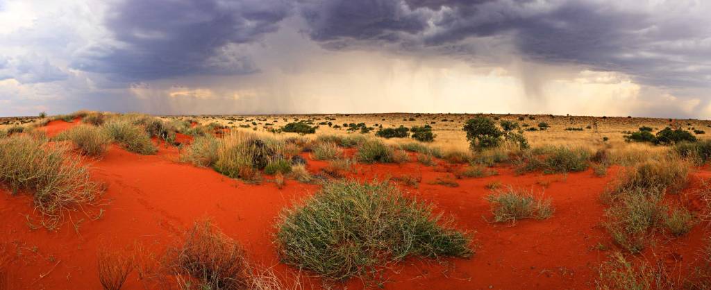 New paper: Save Australia’s ecological research aarontheecolog.wordpress.com/2017/08/16/new…