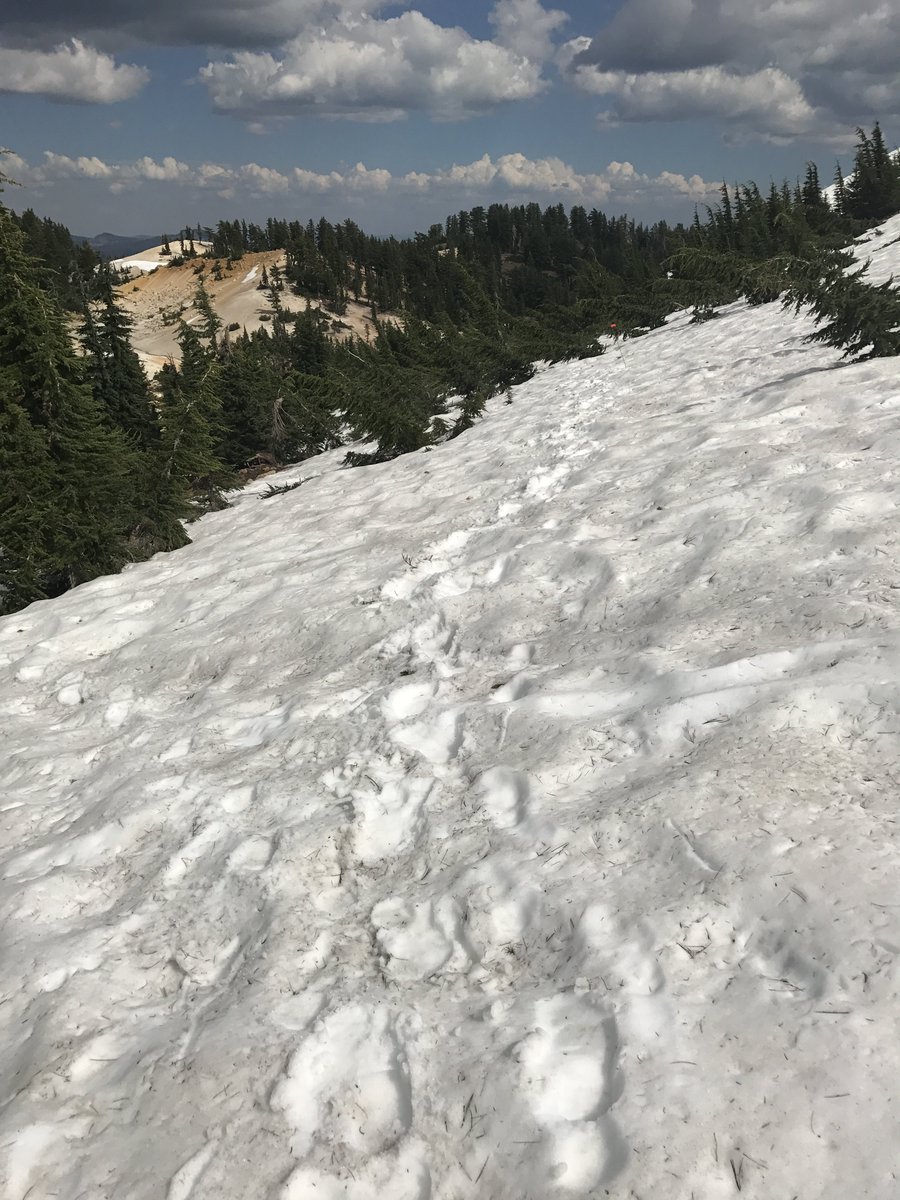 LassenNPS's tweet photo. The trail to Bumpass Hell will remain closed for safety reasons. Enjoy one of the park's other areas. https://t.co/gaBwy63x7H #bumpasshell https://t.co/ctKwhslOm2