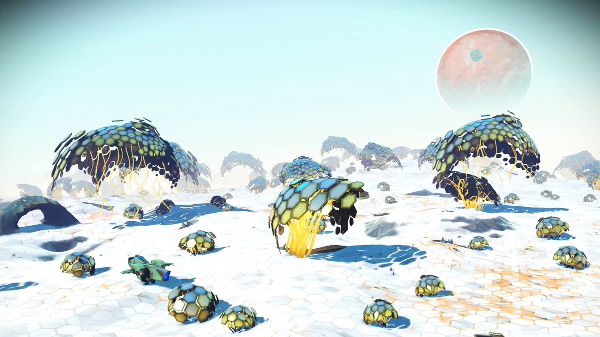 DarmokStarchild's tweet photo. New biomes in #NoMansSky #NMS are amazing!!! Loving this game!! https://t.co/4YLDjvIN88