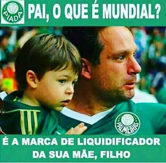 🐶 TaH Beleza 🌊🍺 on X: #HojeEuToAfimDe lembrar que o Palmeiras não tem  mundial.  / X