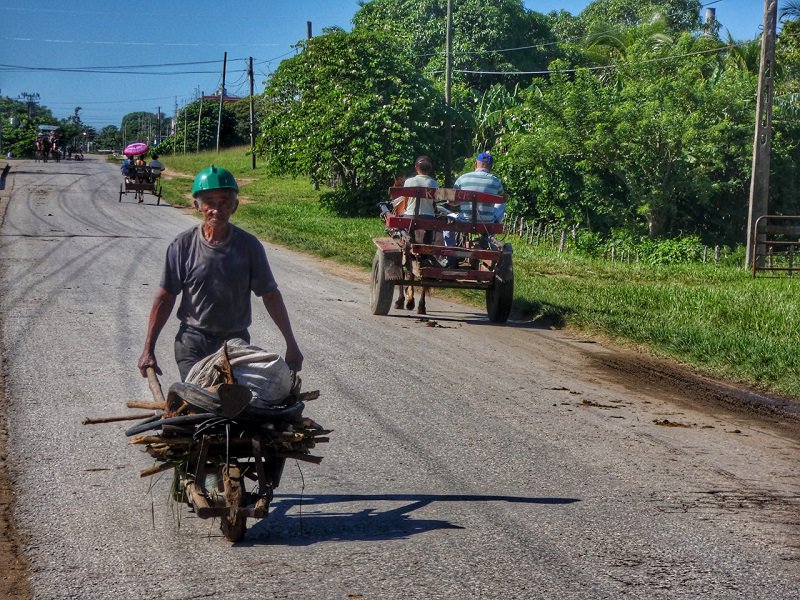 cadenagramonte's tweet photo. Naturaleza que convida en Siboney @rakapaga 
https://t.co/MIl6KtYIur
@apppcamaguey @yamyle @Radiocamaguey @havaname @diosmelgo @IndiKarell https://t.co/CJKKMYlFXG