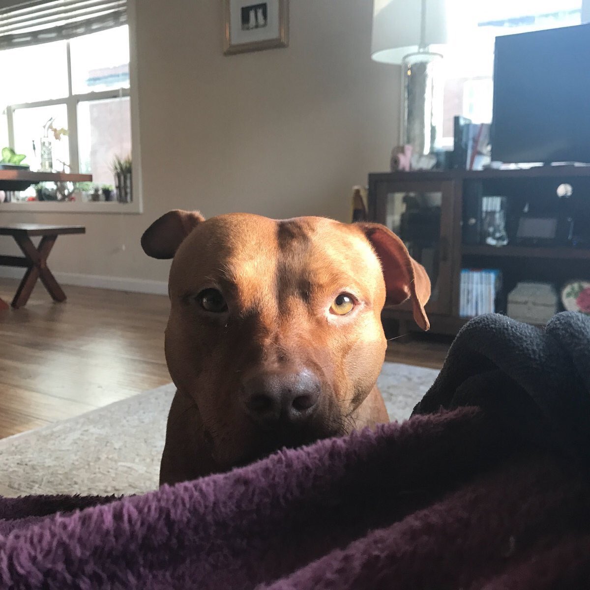 sxx (@xyxss) on Twitter photo 