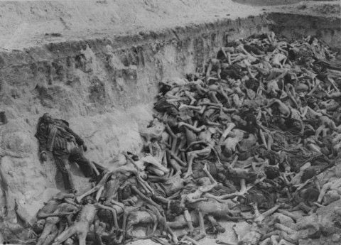 _dralaterdzo's tweet photo. This is what @realDonaldTrump supports! His own grandchildren would be here in 1945! #neveragain #trumprussia #resist #quitthecouncil https://t.co/GTfNlXIO72