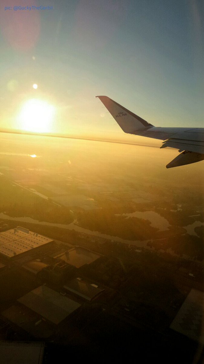 GuckyTheGerbil's tweet photo. @KLM ...can only show you some of my "best #WingPix"... 😅
💙 #FlyKLM https://t.co/WGS5WlIkvG