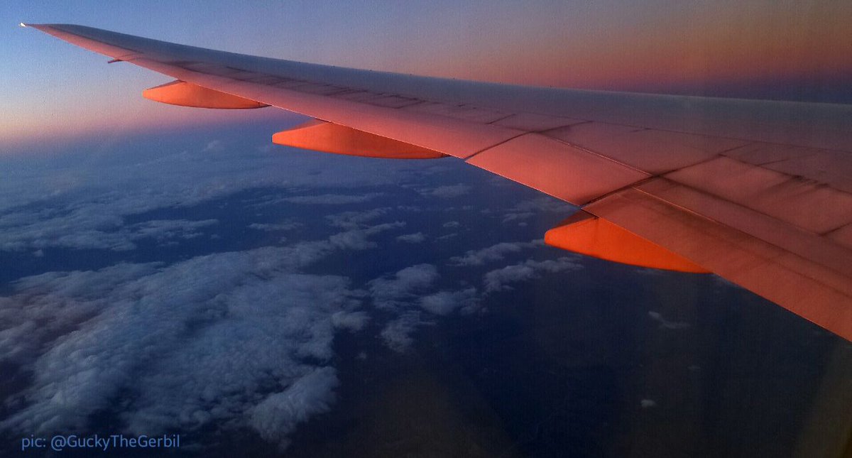 GuckyTheGerbil's tweet photo. @KLM ...can only show you some of my "best #WingPix"... 😅
💙 #FlyKLM https://t.co/WGS5WlIkvG