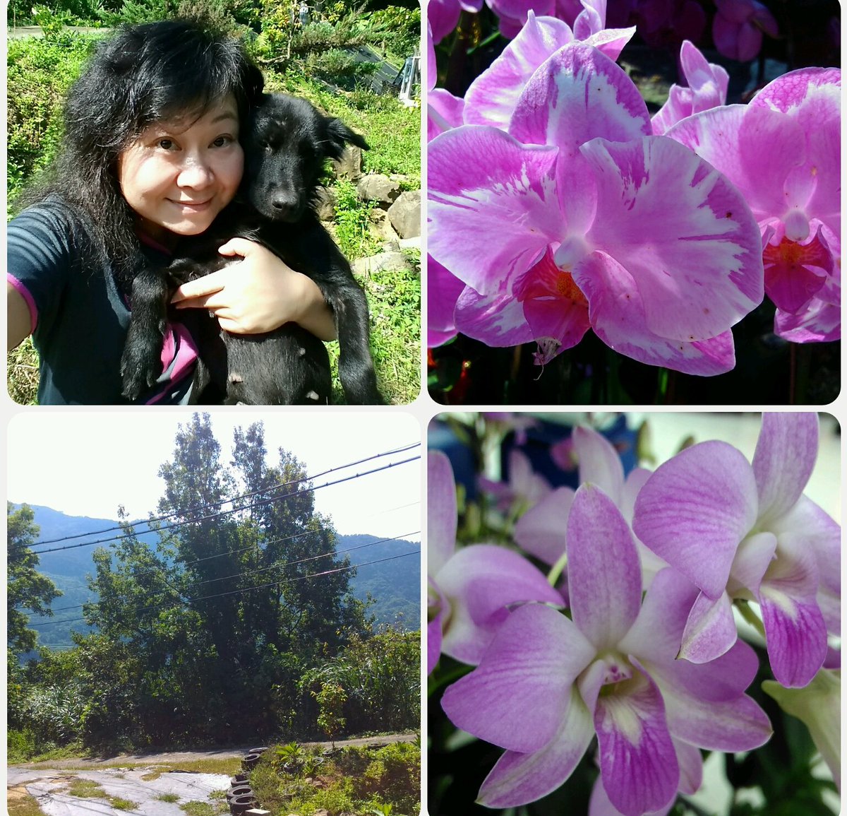 ( 善意行動 ) 星期三愉快！親愛的朋友們！天氣真的超級熱，請多喝水，防曬！