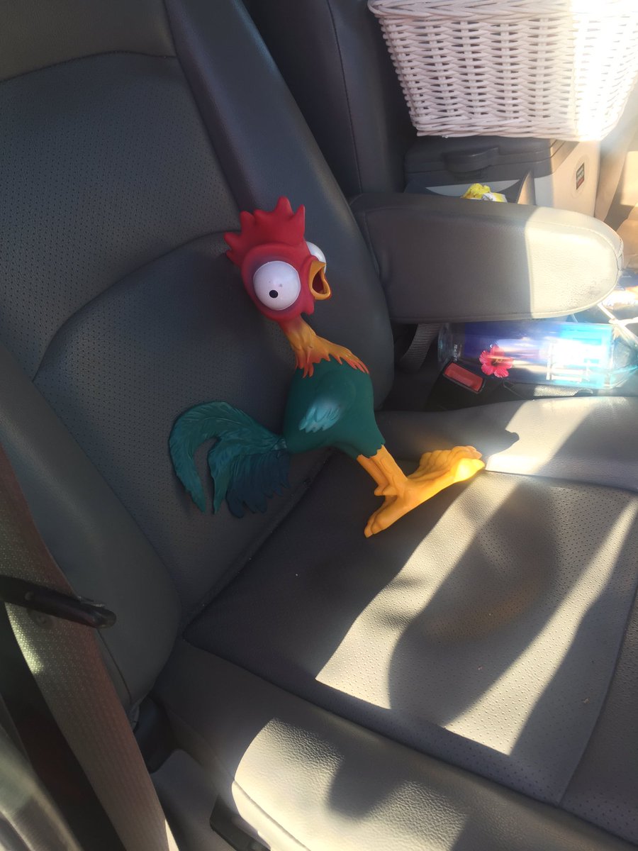 biscuitNsweetea's tweet photo. Well my shift has ended Hei Hei it's up to you to get him the last 3 miles along delta hwy #wearenowthere https://t.co/8syNNTUNt9