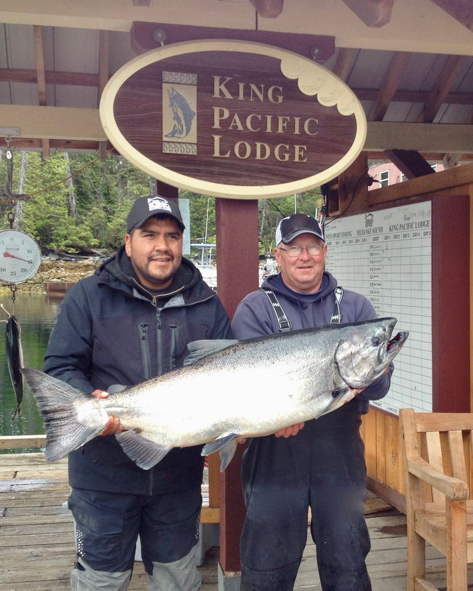 WSFKingPacific's tweet photo. 56 pound Chinook taken by Jack! Guided by Tom. An incredible fish! https://t.co/sAJKmsZWKv