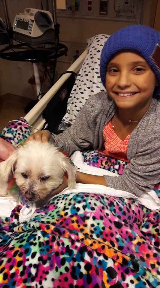 What the world needs now!more Peace Creatures! HFL's therapy team-Debra &amp; Harry visited Sophi today @UMNChildrens  homeforlife.org/node/43