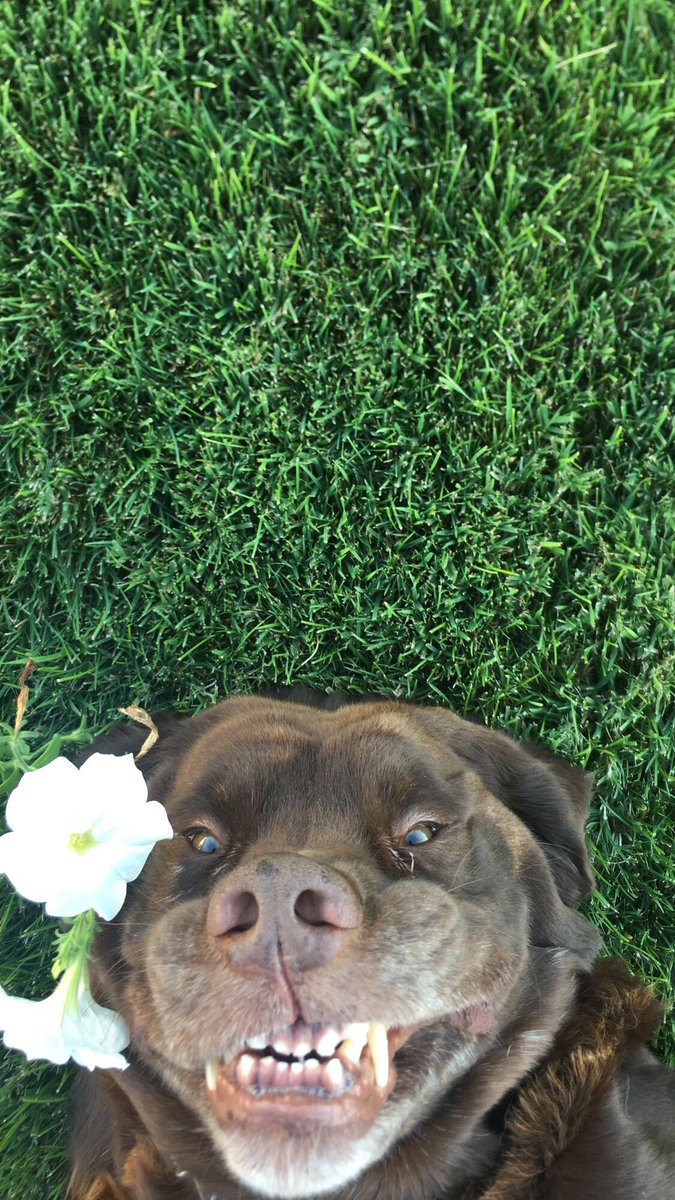paytonbillups_'s tweet photo. open for a surprise https://t.co/fCzEahTKlX