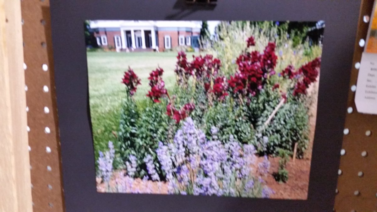hburgkaylene's tweet photo. Photos I entered in the #RockinghamCountyFair #photography
#firsttime
#nottoobad https://t.co/Es86Wt3w7l