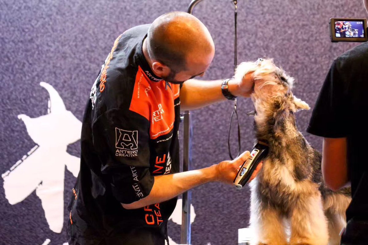 petstock dog clippers