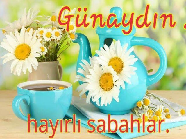 Ahmet Işık (@ahmetik36455908) on Twitter photo 