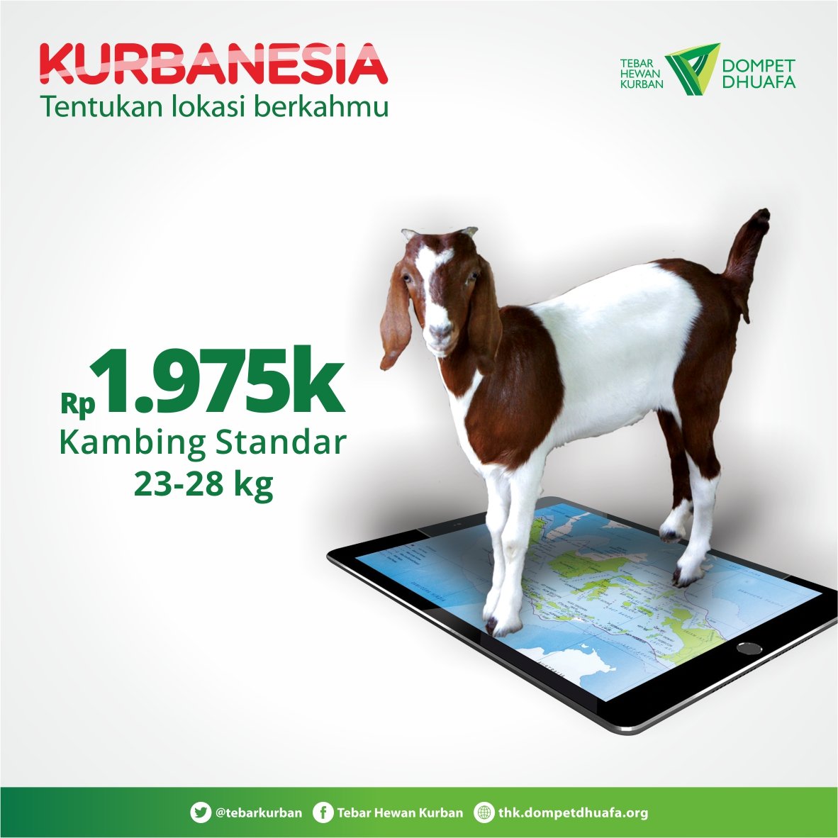 Tuk kambing standar <a href="/tebarkurban/">Tebar Hewan Kurban</a> Rp 1.975.000,- berbobot 23-28 kg. Sila klik >> kurban.dompetdhuafa.org #Kurbanesia