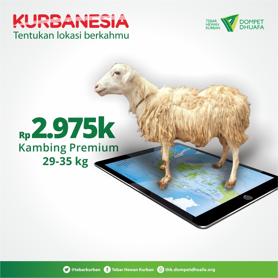 Tuk kambing premium <a href="/tebarkurban/">Tebar Hewan Kurban</a> Rp 2.975.000,- berbobot 29-35 kg, sila klik >> kurban.dompetdhuafa.org #Kurbanesia