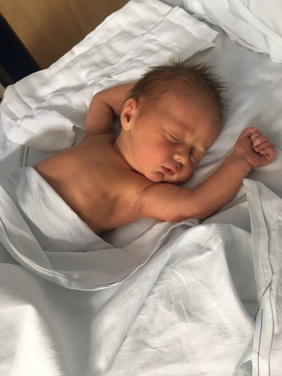 HBWallis's tweet photo. Check this little fella out!! My little Huck! So in love! https://t.co/mYSIbxTofw