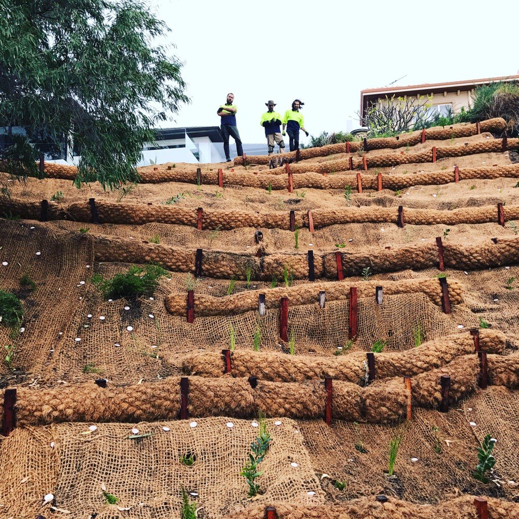 Strata_Green's tweet photo. The team @sustainable_outdoors have just completed a #Erosion_control project to retain a small section of Point Roe boardwalk. Well done! https://t.co/WoqNzDpkIu